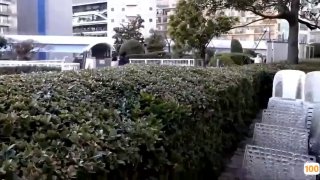 【母亲×儿子的人气同人作品期待已久的真人版！！我的妈妈我喜欢的人。木下凛子